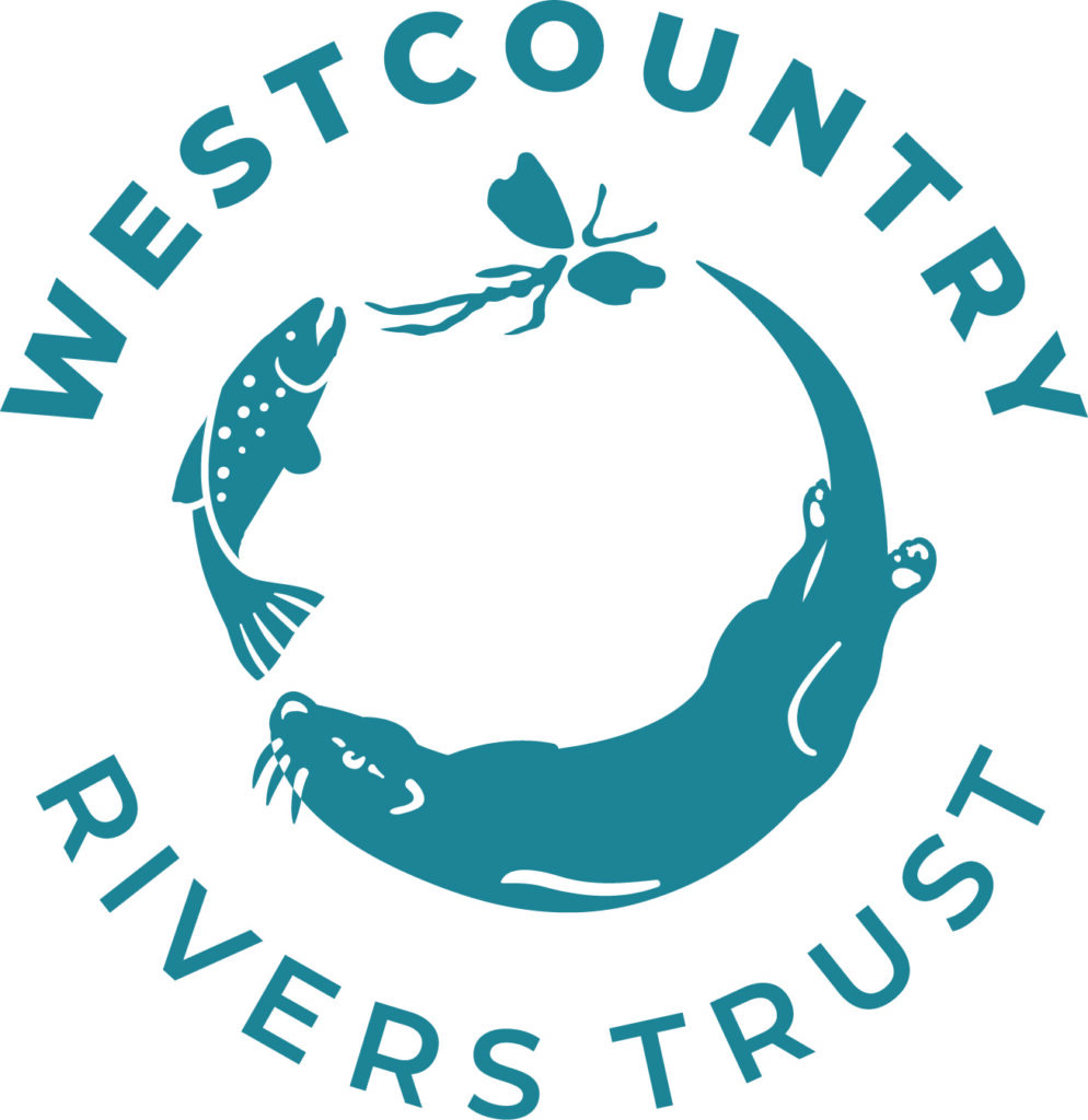 logo-teal-JPG